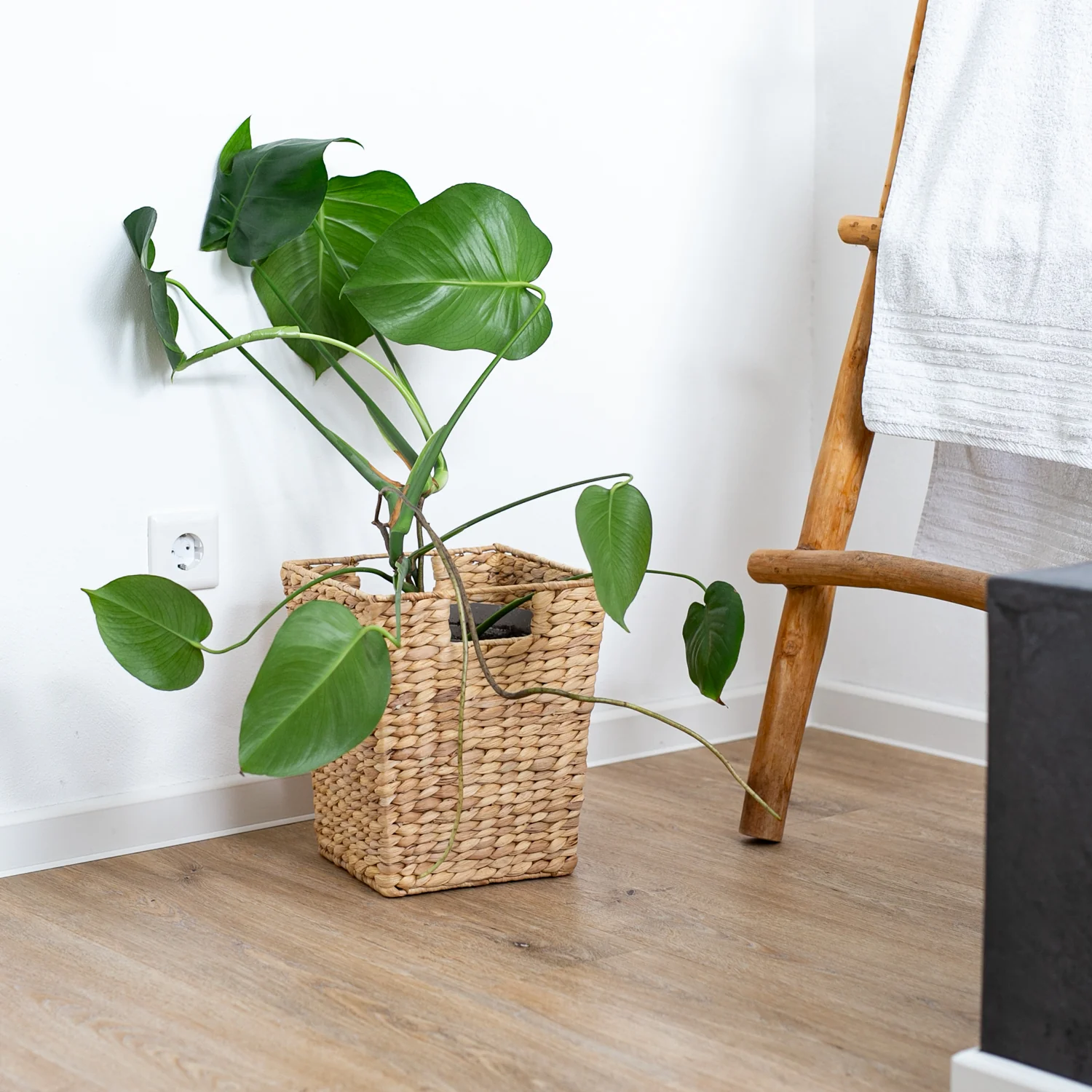 Papierkorb, Mülleimer Büro geflochten aus Wasserhyazinthe, HMF 3725 - Image 32