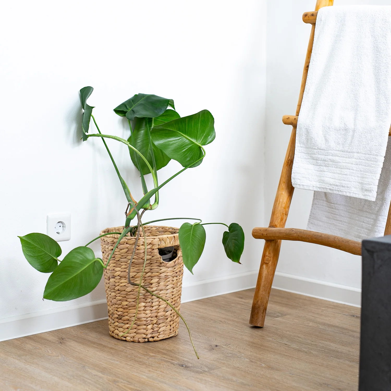 Papierkorb, Mülleimer Büro geflochten aus Wasserhyazinthe, HMF 3725 - Image 38