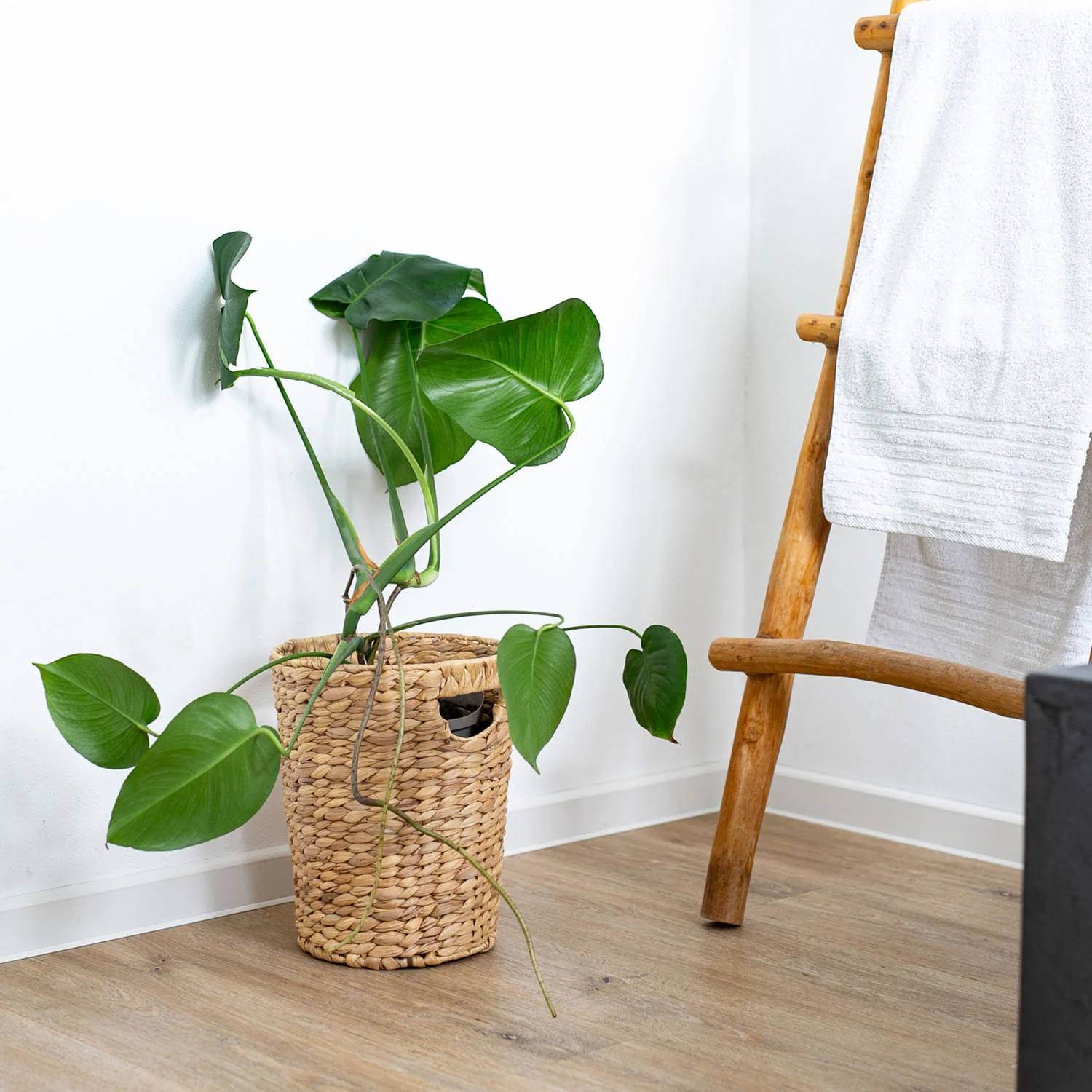 Papierkorb, Mülleimer Büro geflochten aus Wasserhyazinthe, HMF 3725 - Image 9