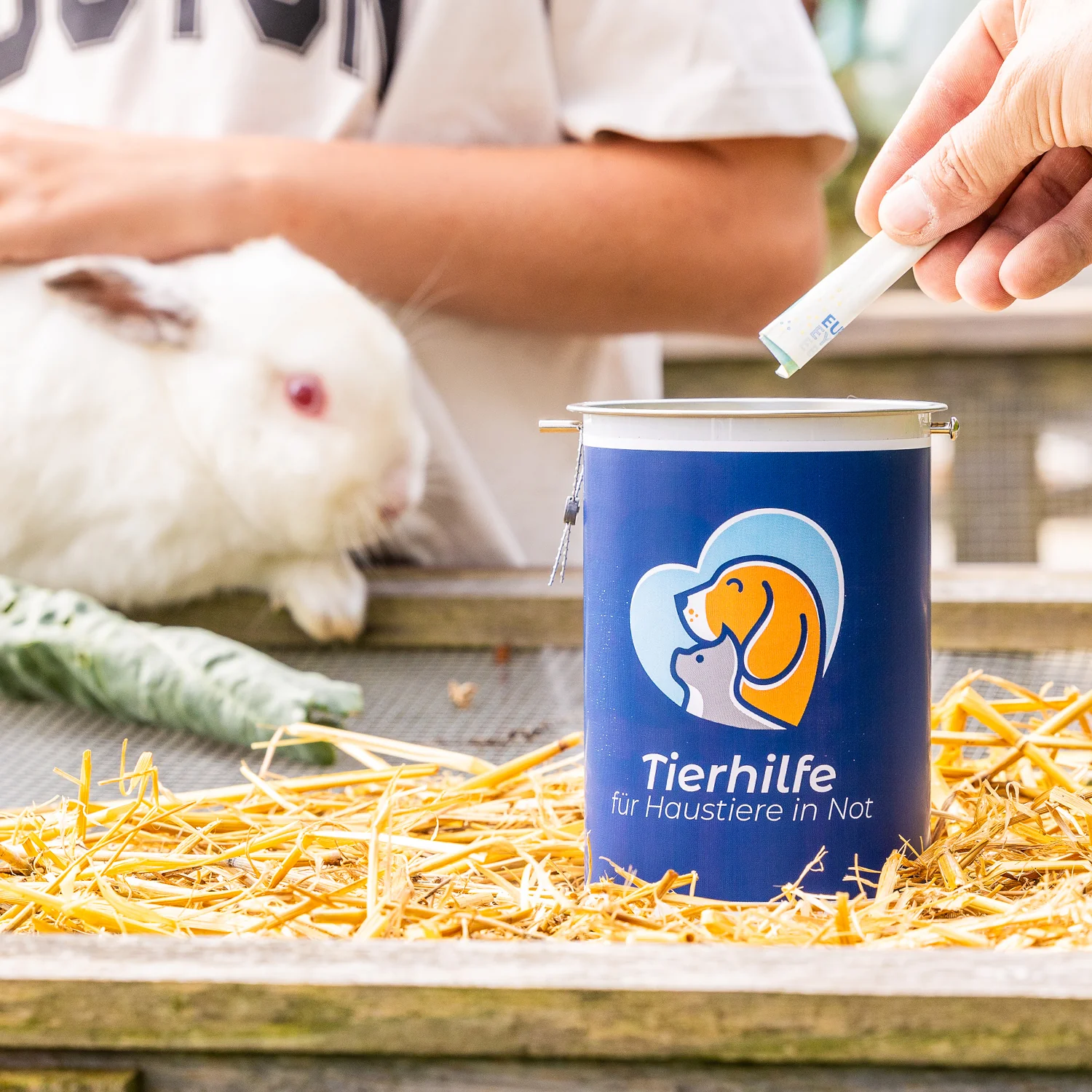 Spendendose, inkl. individiuelle Klebefolie, HMF 46100-07, 14,5 x 10 cm, Lichtgrau - Image 8